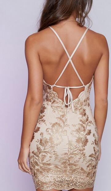 Embroidery Lace Hollow Bodycon Dress