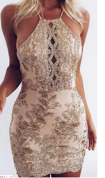 Embroidery Lace Hollow Bodycon Dress